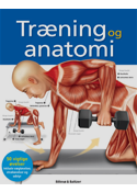 træning og anatomi
